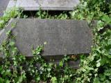 image of grave number 689225